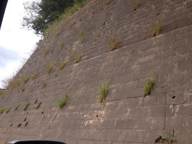 Muro em frente à antiga Volkswagen.