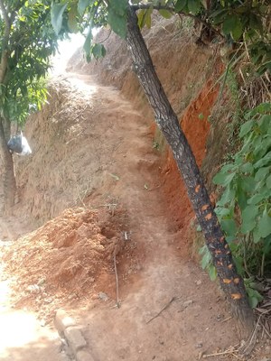 Avenida João Vaz Avenida João Vaz