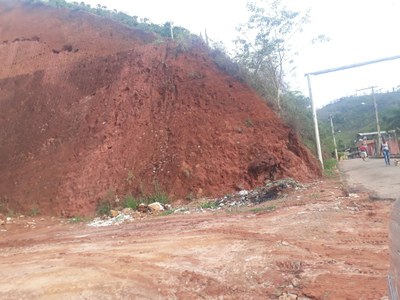 Entulho Campestre 1 Entulho Campestre 1