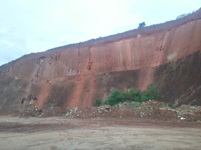 Entulho Campestre 2 Entulho Campestre 2