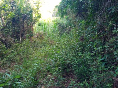 Estrada Tapera 3 Estrada Tapera 3