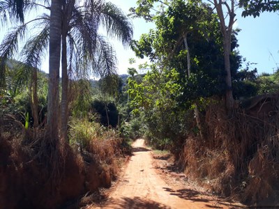 Estradas rurais 1 Estradas rurais 1