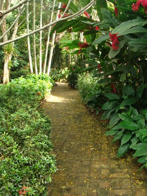 Comitiva de Manhumirim busca apoio para projeto de recuperação das nascentes