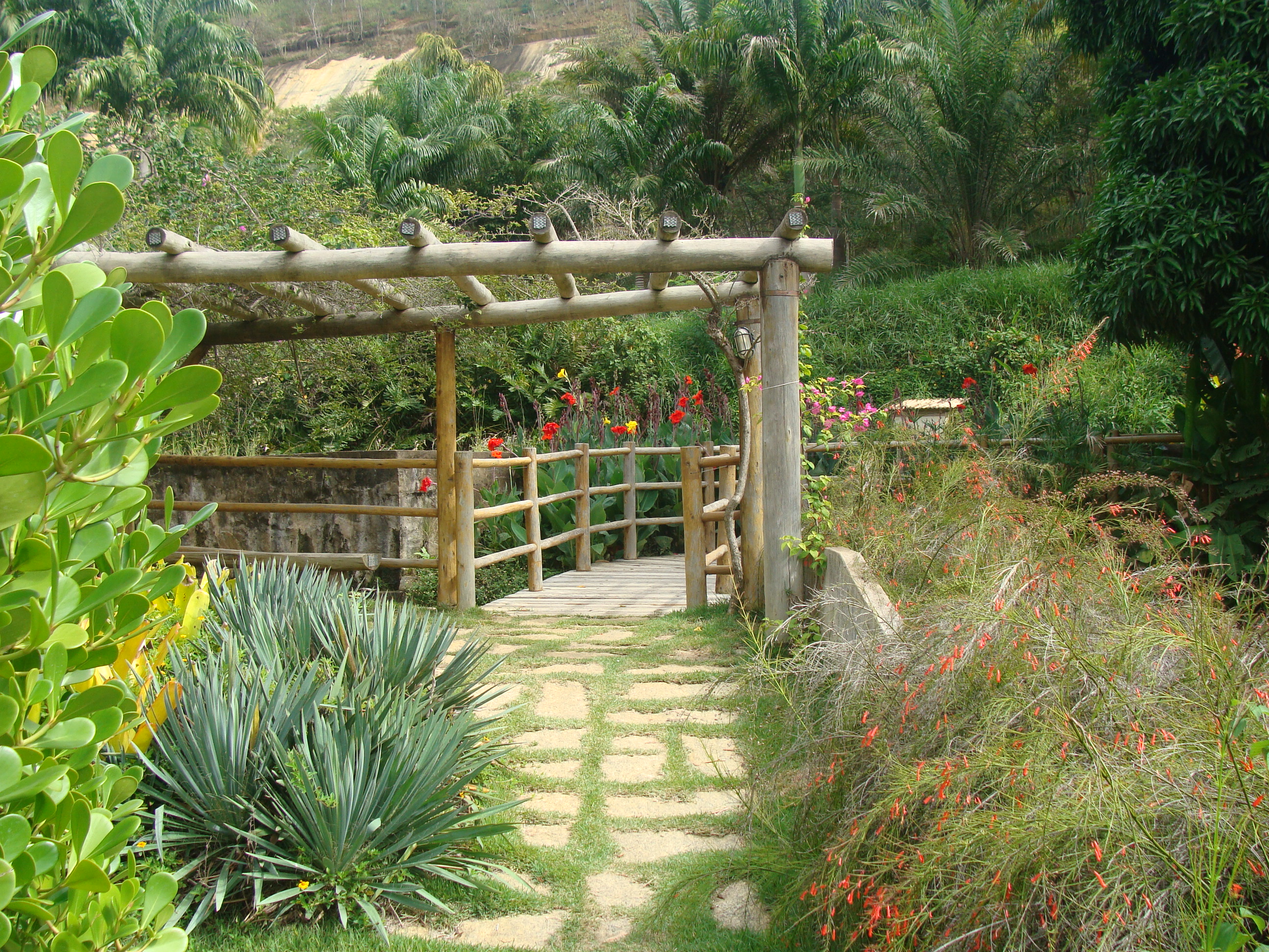 Comitiva de Manhumirim busca apoio para projeto de recuperação das nascentes