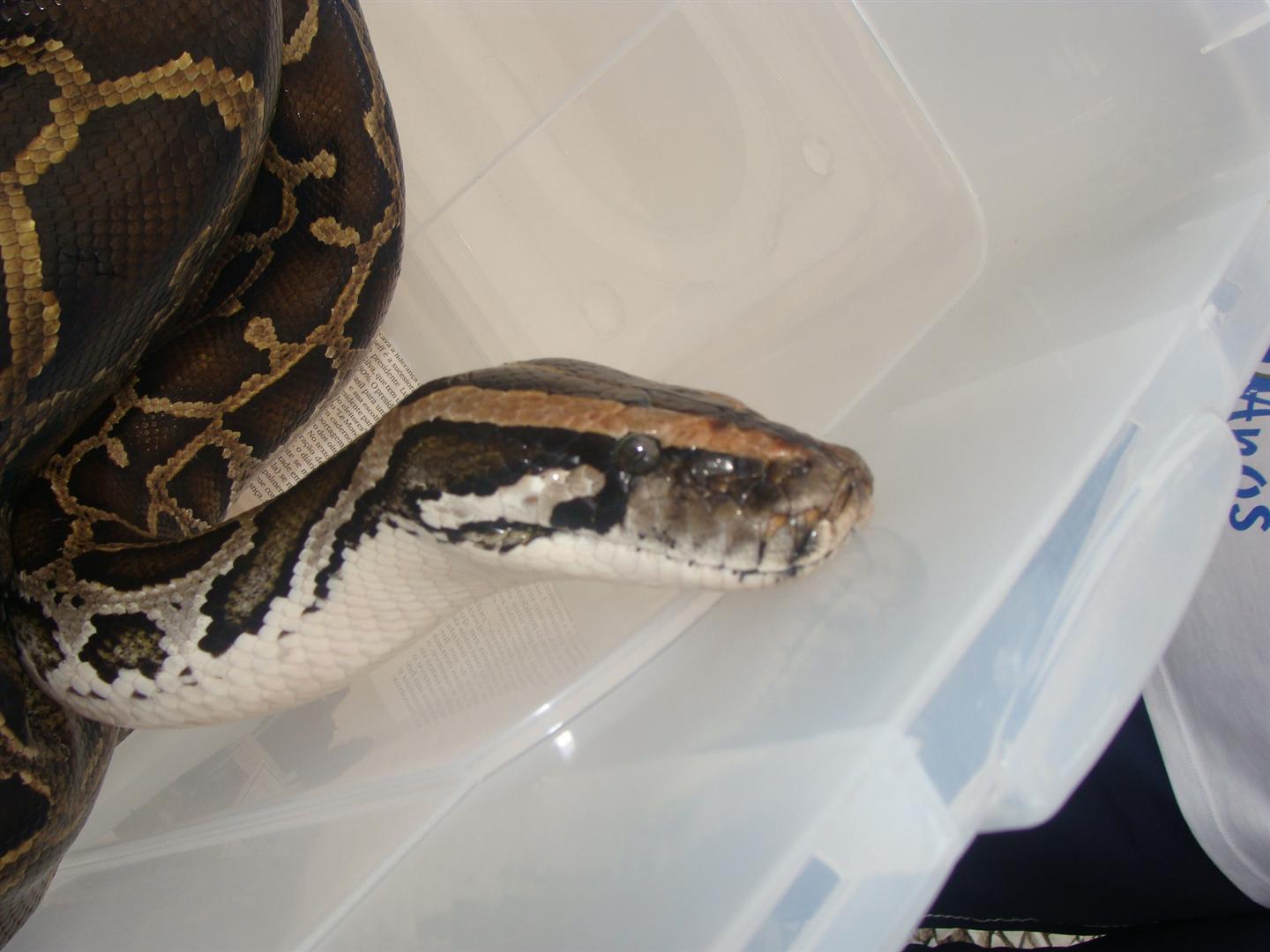 Conscientização no Dia Mundial da Água em Manhumirim