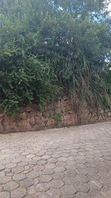 Muro Roque Muro Roque