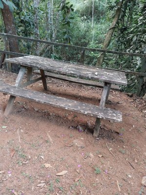 Parque Sagui 7 Parque Sagui 7