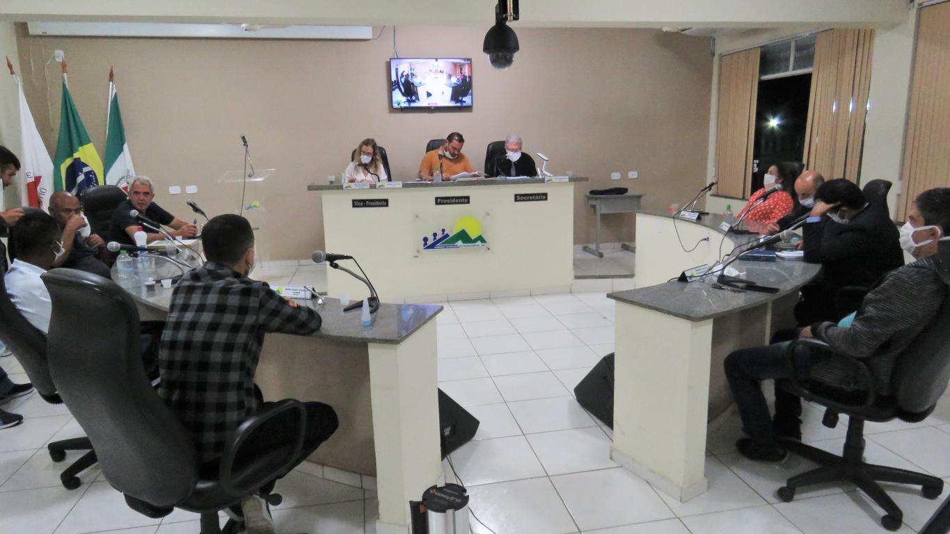 Plenário 29 abril 2020