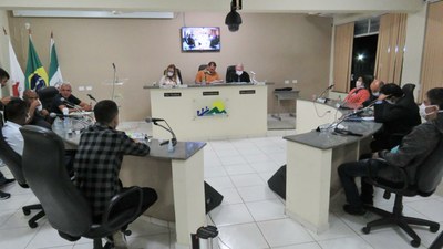 Plenário 29 abril 2020