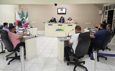 Reunião 29 maio 2025