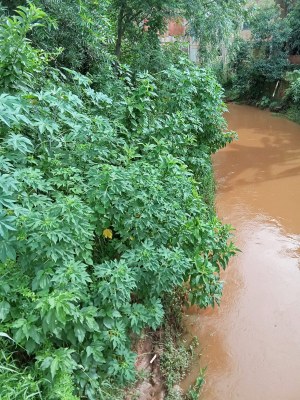 Rio no Santa Rita 2