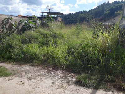 Sujeira Bairro Roque 4 Sujeira Bairro Roque 4