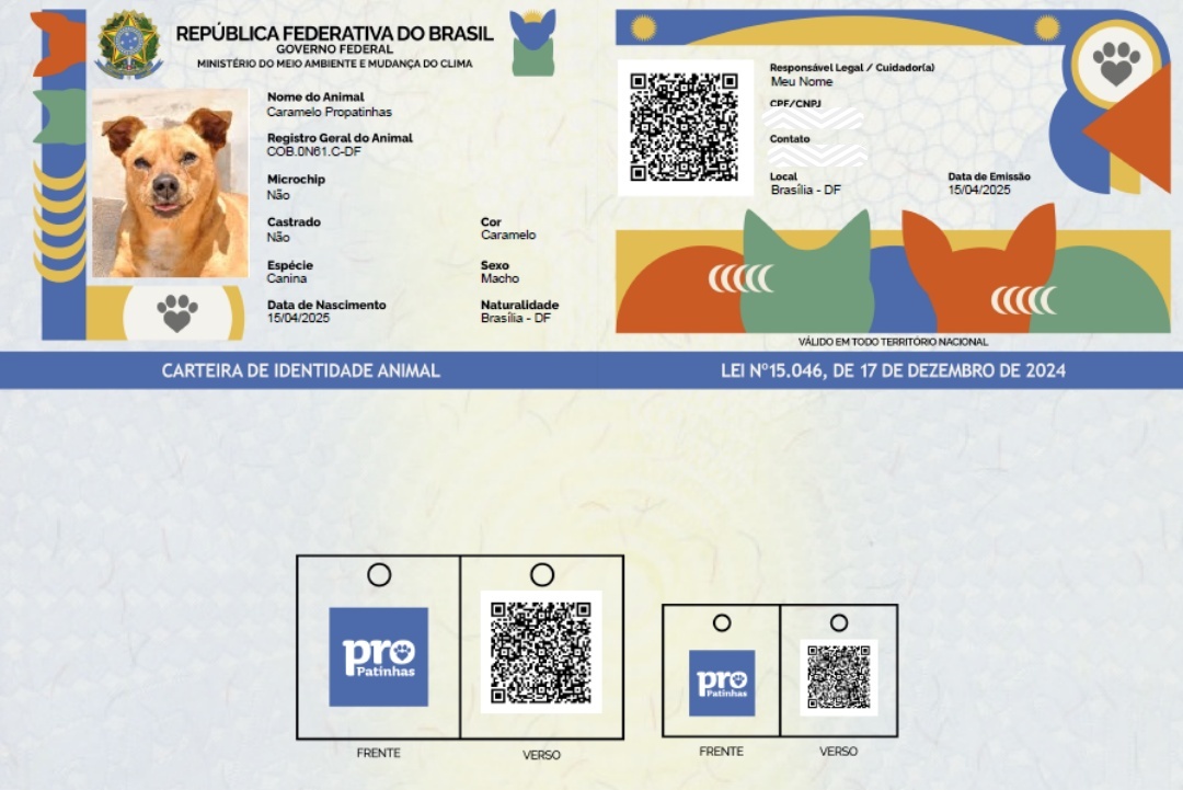 Agora cães e gatos terão RG