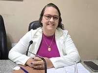 Agosto Lilás dedicado ao combate à violência contra a mulher foi tema na Câmara