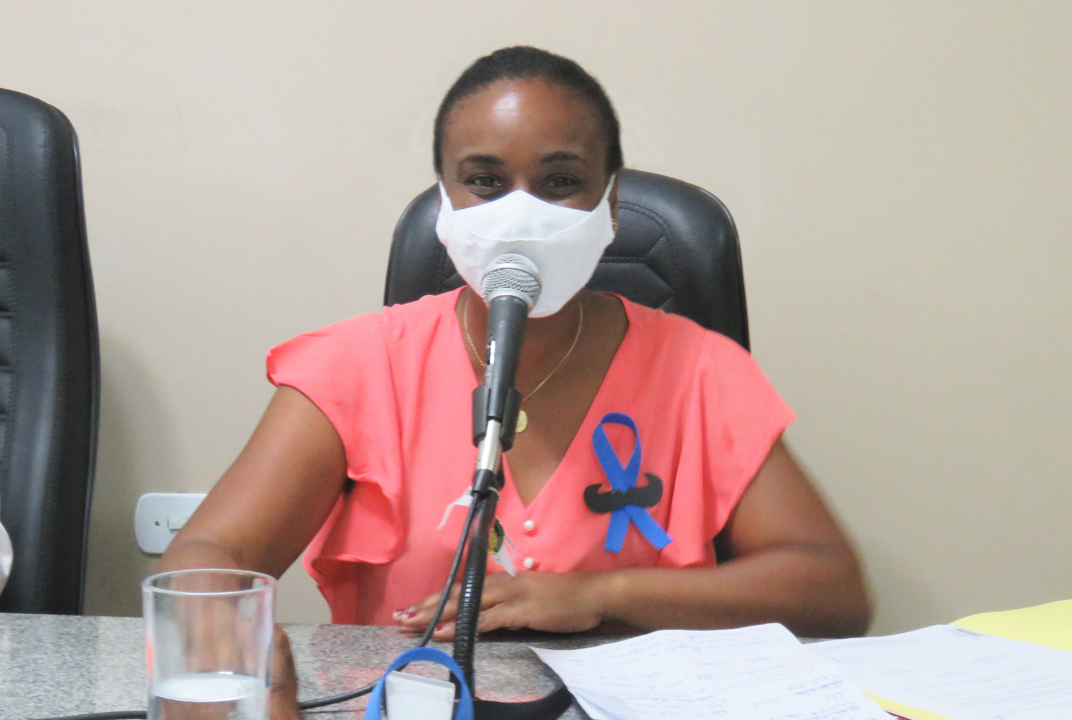 Aprovado o PL que regulamenta em Manhumirim medidas de proteção à mulher vítima de violência