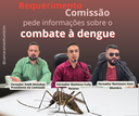 Comissão da Câmara pede à Prefeitura informações sobre o combate à dengue
