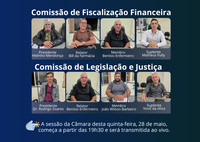 Comissões deram pareceres e liberaram cinco projetos de lei para votação na reunião de hoje (28)