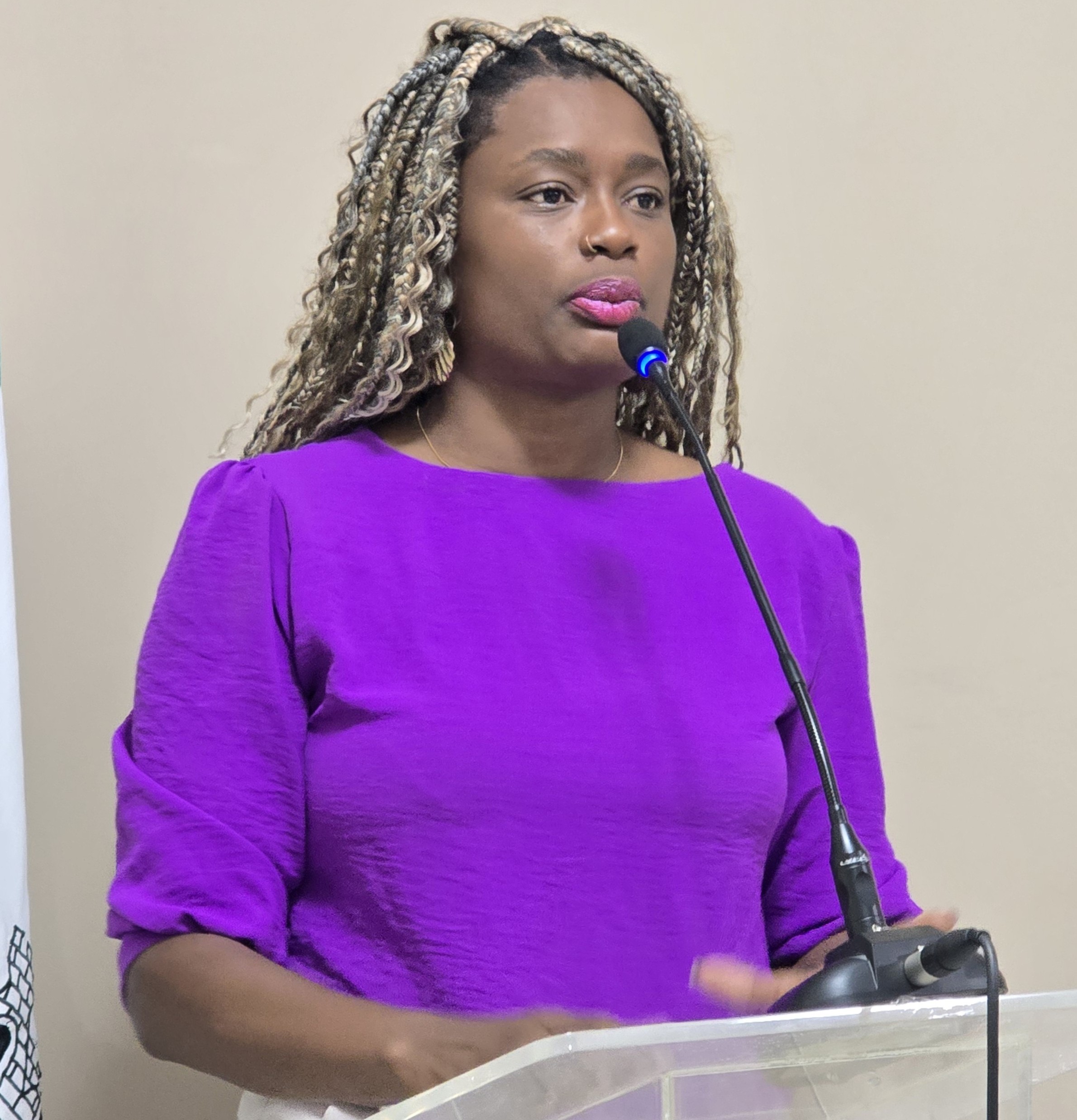 Presidenta do Conselho Estadual da Mulher defendeu na Câmara a importância de um Conselho Municipal para Manhumirim