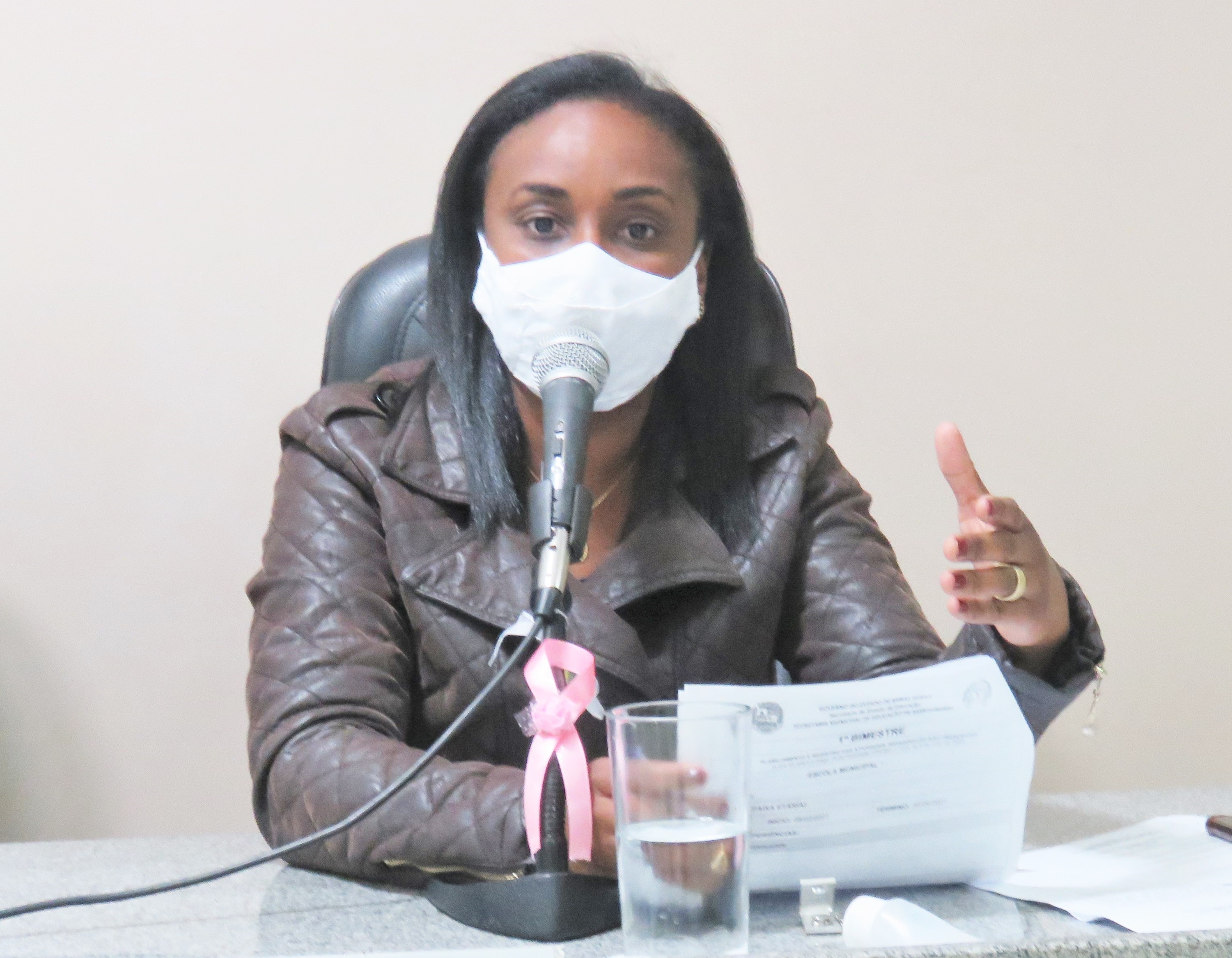 Projetos de defesa às mulheres vítimas de violência estão em votação na Câmara de Manhumirim