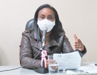 Projetos de defesa às mulheres vítimas de violência estão em votação na Câmara de Manhumirim