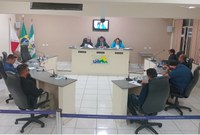 Projetos sobre política para animais abandonados e incentivo à corrida de rua foram arquivados pelas comissões