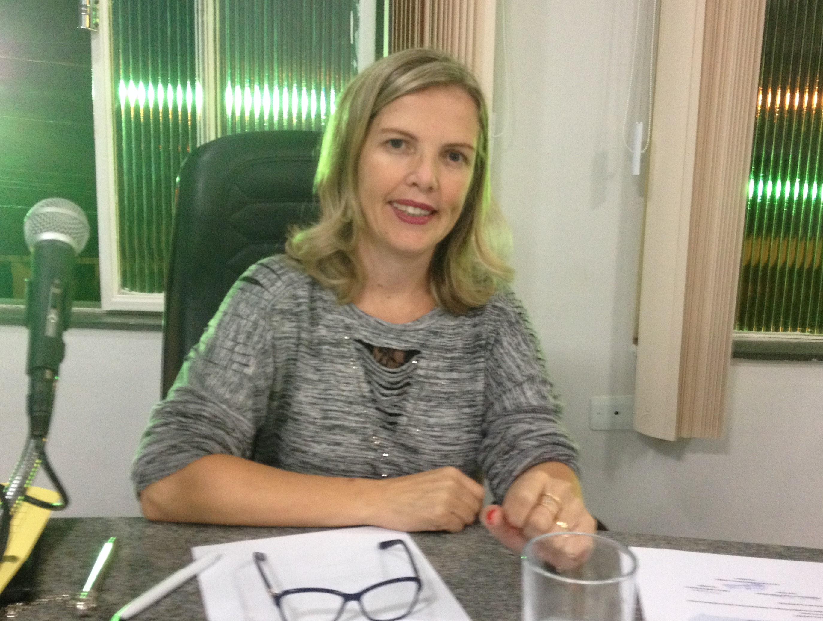 Requerimento pede prestação de contas sobre festas de final de ano