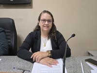 Requerimento pergunta sobre a formação do Conselho Municipal dos Direitos das Mulheres